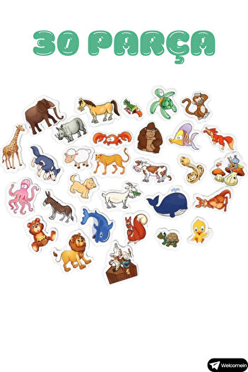 welcomein Oyuncak Manyetik Mıknatıslı 30 Parça Hayvanlar ve 26 Parça Sebze Meyveler Eğitici Set Magnet