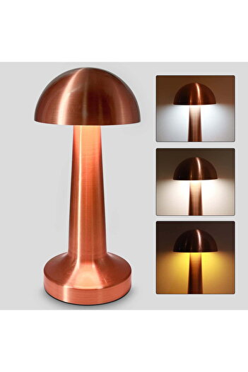 COOYA LED Table Lamp, 21x9cm, 3 color night lights, 1000mAh, Type-C fast charging, for home, office