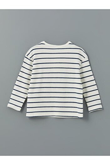 LC Waikiki Crew Neck Striped Boy T-Shirt