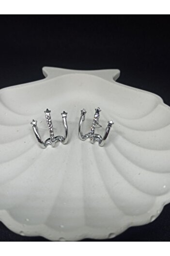 staınless steel Claw Design Earrings-Silver Color