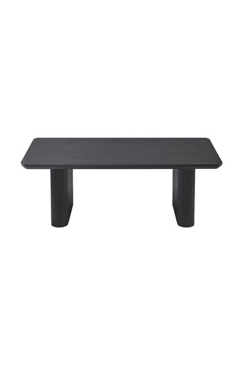 Danube Home Tierra Centre Table  L120xW60xH45cm - Black