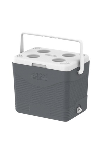 Cosmoplast Keep Cold Durable BPA-Free Picnic Ice Box with Handle 24 Liter