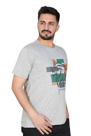 MODA Modern Lion Pattern Gray Printed T-Shirt