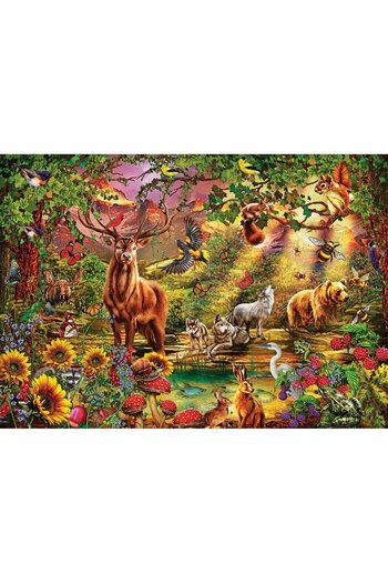 Art Puzzle Enchanted Forest 1000 Piece Puzzle