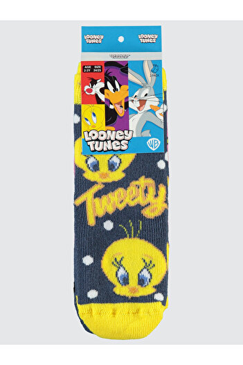TWEETY 2-12 Years Old Girl's Pink Towel Socks Set