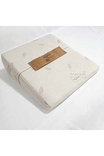 tiny plans Adult Visco Layer Reflux Pillow