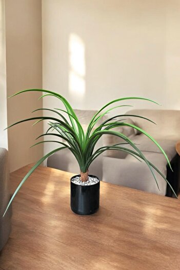 YAPAY ÇİÇEKÇİNİZ TAŞ KAPLI SİYAH RENKLİ SAKSIDA 55 CM YAPAY YUKA AĞACI