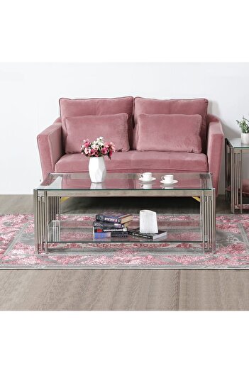 Danube Home Naill Coffee Table  L120xW60xH42cm - Stainless Steel