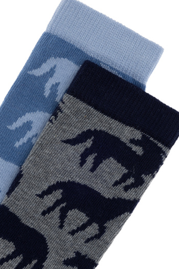 U.S. Polo Assn. Boy's 2-Piece Sock Set 50299292-Vr086