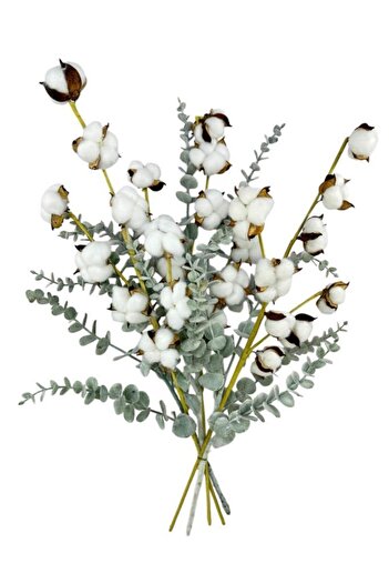 Nettenevime 5li set Doğal Pamuk Ve Okaliptus Çiçeği Kuru Çiçek Yapay Çiçek 3+2 Mix