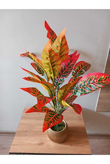 ledison Yapay Kroton Bitkisi 25 Yapraklı 70 Cm Saksılı