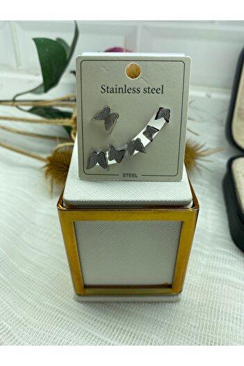 stainless steell Kadın 6 Lı Kelebek Set Küpe