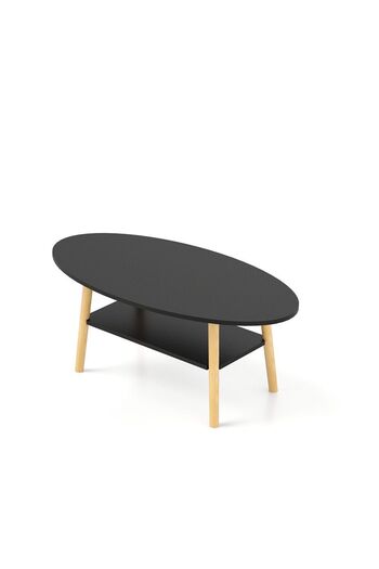 Danube Home Freya Coffee Table – Black L100xW50xH42cm - Black