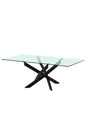 Danube Home Leonardo Coffee Table L120xW60xH45cm - Glass / Powder Coated Black