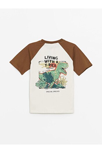 LC Waikiki Ανδρικό μπλουζάκι με λαιμόκοψη Oversize (S4)