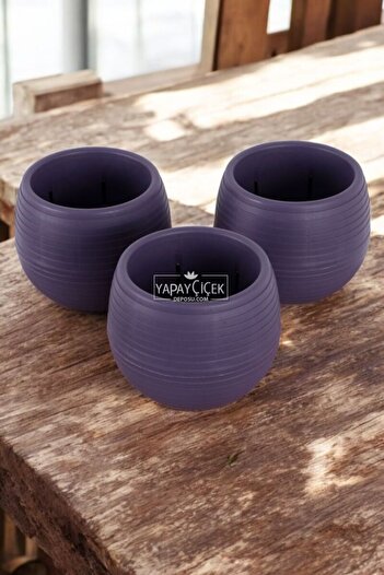 Yapay Çiçek Deposu Mini Cactus Succulent Pot Set of 3 Dark Purple Elvan Model 12.5 cm 1.3 Liters