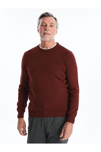 LC Waikiki Crew Neck Long Sleeve Men's Knitwear Sweater