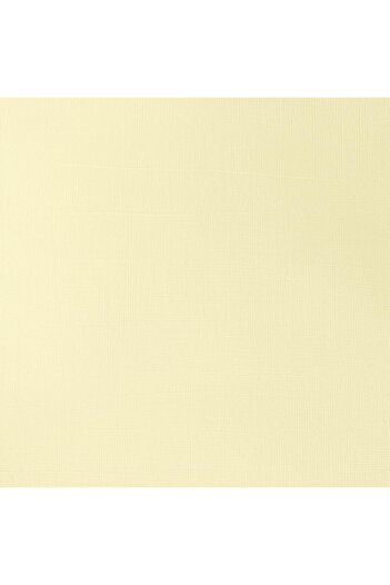 Winsor Newton Winsor & Newton Galeria Akrilik Boya 60ml Pale Lemon 434