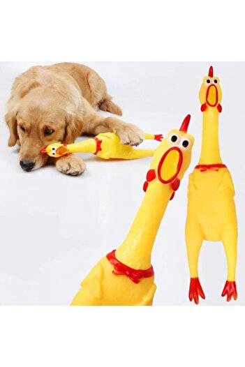 Pribor Singing Screaming Rooster Chicken Chirping Screaming Sound Toy for Puppy Cat L Size 36 cm
