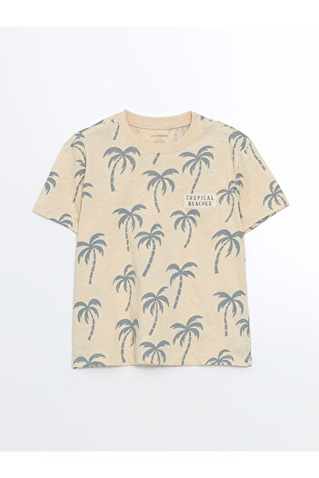 LC Waikiki Crew Neck Long Sleeve Printed Boy's T-Shirt