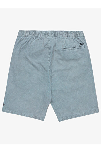 BİLLABONG Men's Adult Shorts & Bermudas