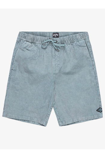 BİLLABONG Men's Adult Shorts & Bermudas