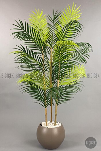 BİÇİÇEK 120cm Areka Ağacı 24 yapraklı Küre Saksıda