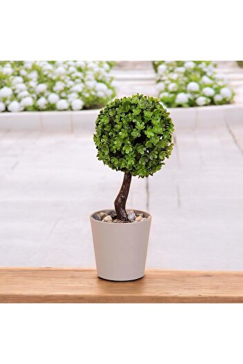 Eva Dekor I Chose I Bought Evadekor Artificial Flower Mini Ball Tree Gray Pot Plastic