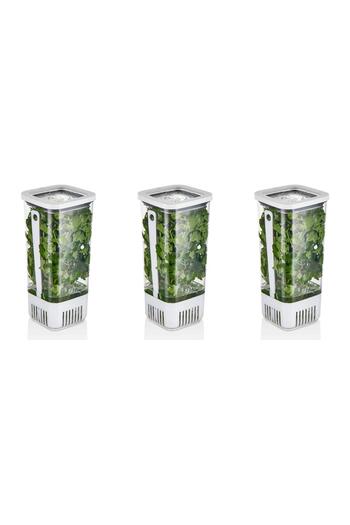 VİP AHMET Square Greenery Storage Container, 1700 ml - 3 Pieces