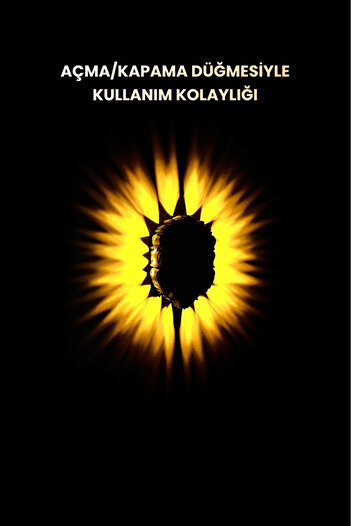 VER SİPARİŞİ SEVİLİYORSUN Aslan Figür LED Duvar Lambası–Aplik, Pilli, Dekoratif, Modern Aydınlatma/Amber Renk Gece Lamba-Gri