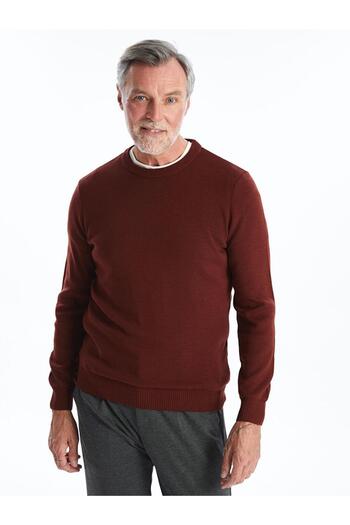 LC Waikiki Crew Neck Long Sleeve Men's Knitwear Sweater