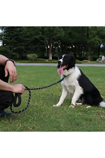 petürkiye Reflective Dog Collar 130 cm