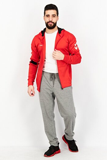 hummel Men Hooded Brand Logo Long Sleeves Sweatshirt, Red