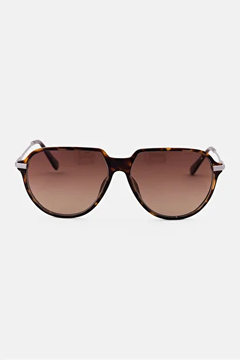 Guess Men GU0006752H56 Aviator Sunglasses, Brown/Silver
