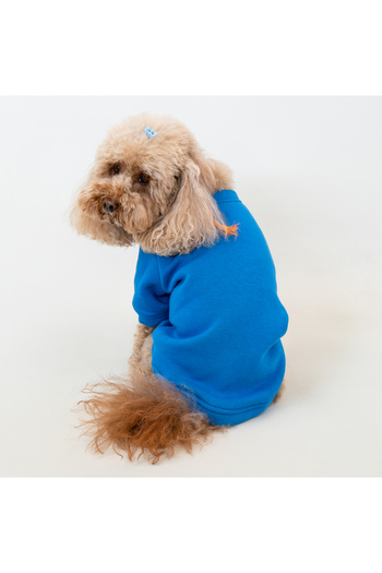 Buddy Store Cat and Dog Outfit Dresses - Unprinted Blue Hoodless Sweat