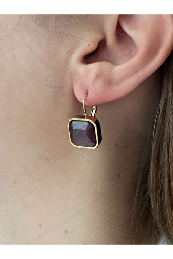 nerora Vintage Brown Rhinestone Anti Tarnish Steel Earrings