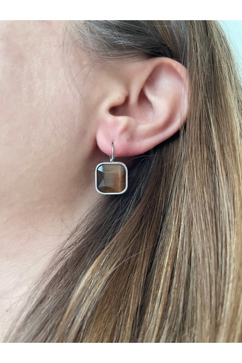 nerora Vintage Brown Rhinestone Anti Tarnish Steel Earrings