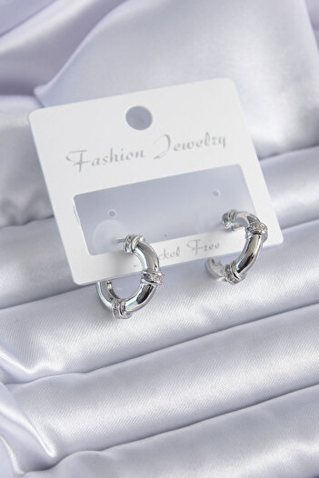 Teknosfer Silver Color Zircon Stone Hoop Model Brass Women's Earrings - Lisinya