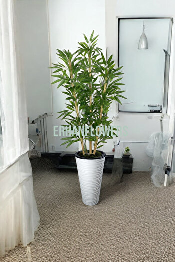 ERHAN FLOWERS ÇİÇEK & DEKORASYON 150 cm ıslak doku bambu ağaç kumsal vazo saksıda
