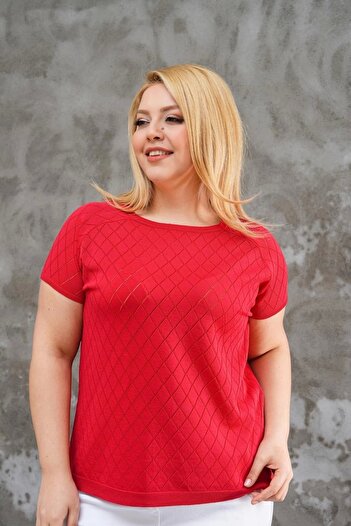 Bİ.GİYSEN Women's Large Size Red Crew Neck Argyle Lycra Cold Thread Knit Thin Knitwear Blouse