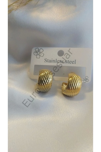 stainless steell Steel Gold Striped Earrings