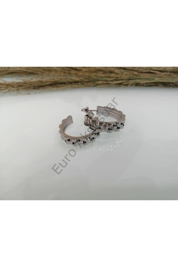 stainless steell Steel Earrings