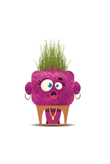 Hape Grass Head Doll - Surprised Sandra