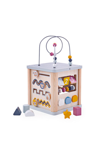 BIGJIGS Toys Κέντρο Δραστηριοτήτων 5 σε 1 (ΠΑΣΤΕΛ)
