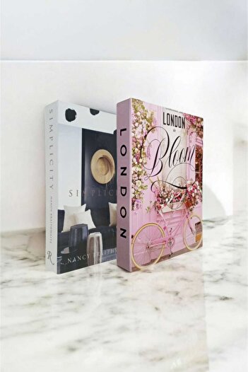 BayCazip Decorative Book Look Box Set of 2 Decorative Book Looking Box