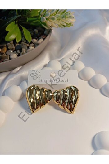 stainless steell Steel Heart Detailed Earrings