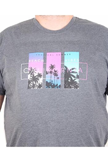 Starbattal Men's Big Size Crew Neck T-Shirt California 25145 Anthracite Melange