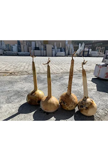 Tunca Gourd Dried Long Stem Gourd Suitable for Making Kemane