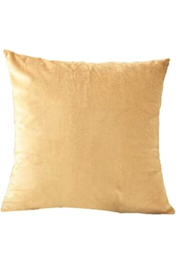 erorex Wheat Velvet Decorative Solid Filled Cushion 45 * 45 Centimeter Am.Dc8025102570294 Pen