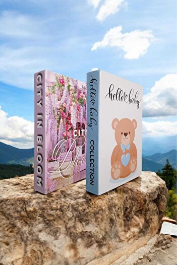 BayCazip Decorative Book Look Box Set of 2 Decorative Book Looking Box